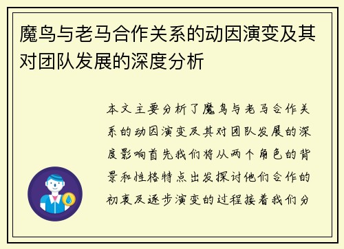 魔鸟与老马合作关系的动因演变及其对团队发展的深度分析